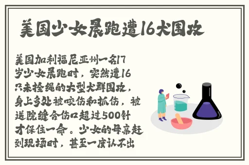 光棍天堂免费观看在线观看