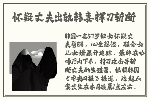 久久久久精品久久影视